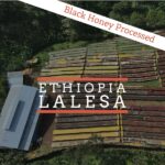 Aerial view of a coffee drying station in Ethiopia with long raised drying beds in various colors. A building sits on the left, and rows of drying coffee cherries stretch across the landscape. Overlaid text reads “Black Honey Processed” at the top and “Ethiopia Lalesa” in the center.